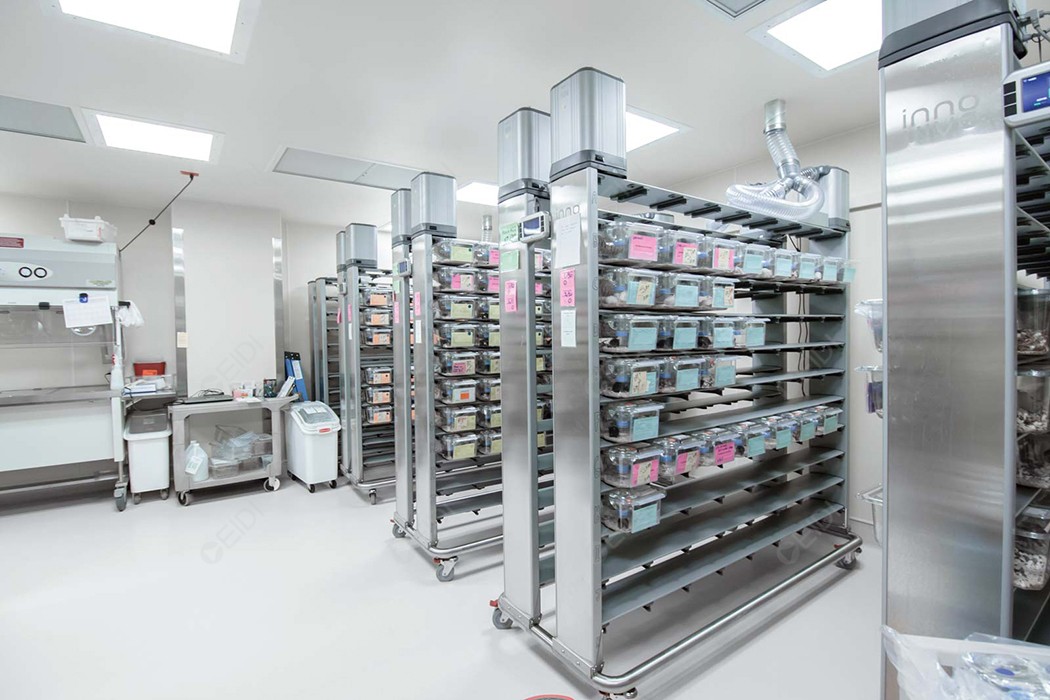 PD-1抗體 nofazinlimab治療晚期實(shí)體瘤首次人體試驗(yàn)成果在BJC期刊發(fā)表