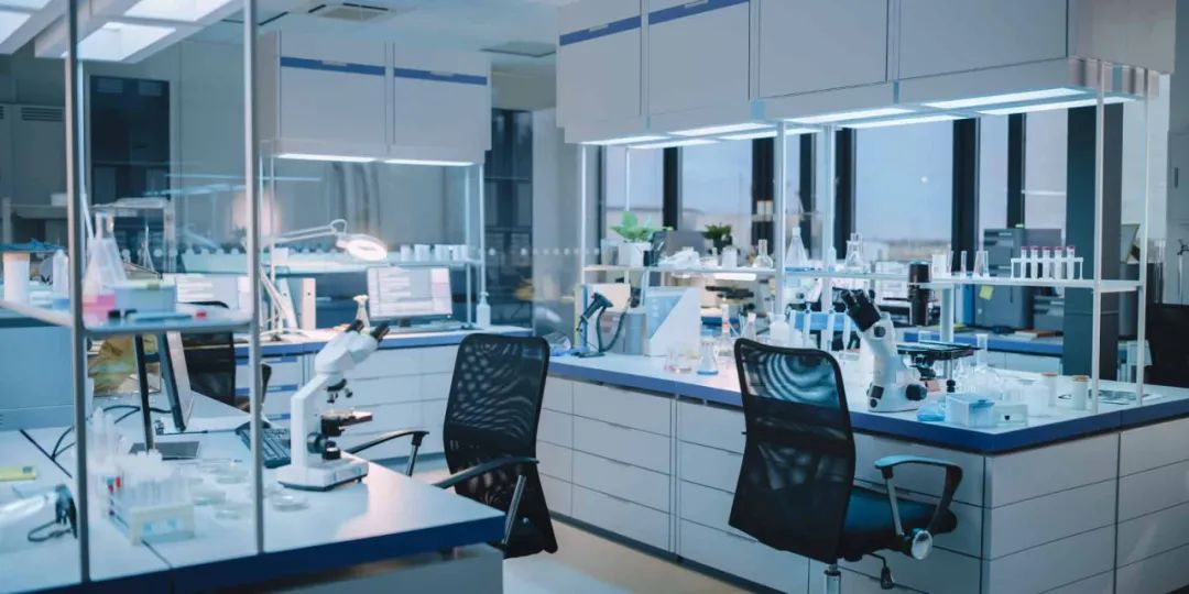 “分子膠水”賦予T細(xì)胞免疫監(jiān)視“超能力”