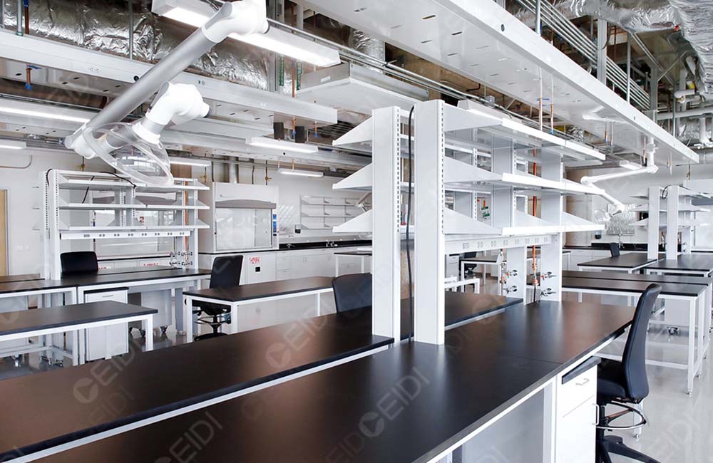 解讀《關于阿拉伯木聚糖等8種“三新食品”的公告》（2024年　第３號）