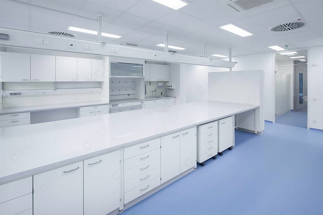 國家藥監局關于發布支持化妝品原料創新若干規定的公告（2025年第12號）